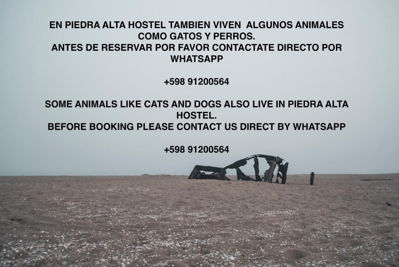 Piedra Alta Hostel & Suites La Pedrera Eksteriør billede